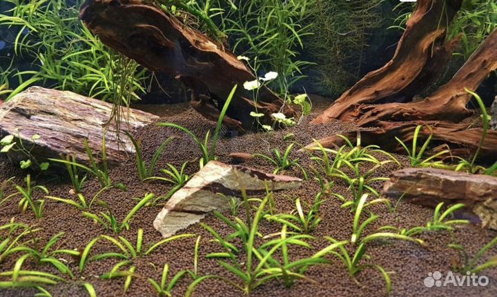 Грунт пропант