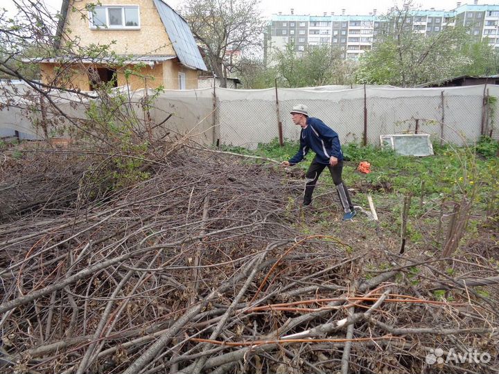 Расчистка участка, покос травы/бурьяна, спил дерев