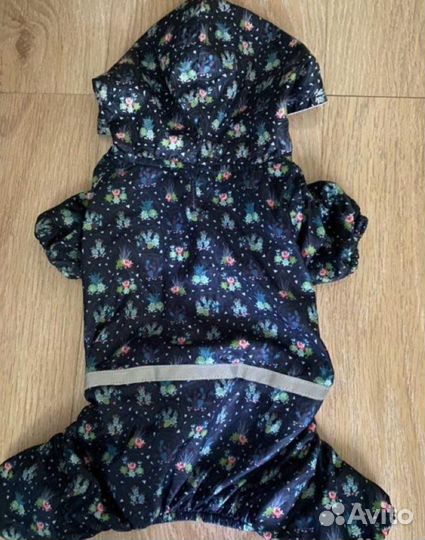 Намордник для маленькой собаки и дождевик