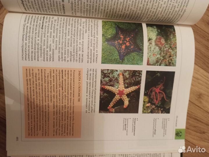 Энциклопедия