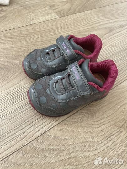 Спортивный костюм calvin klein + кроссовки geox