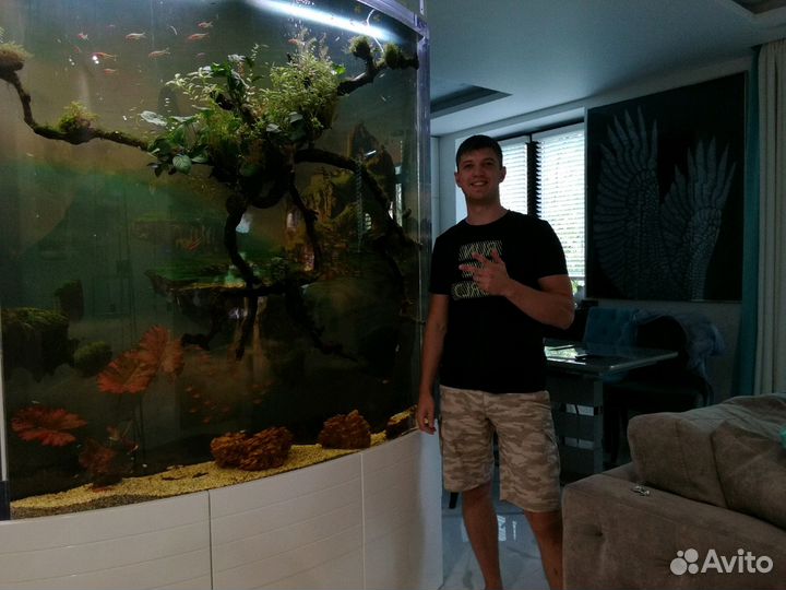 Чистка аквариума, Обслуживание аквариума