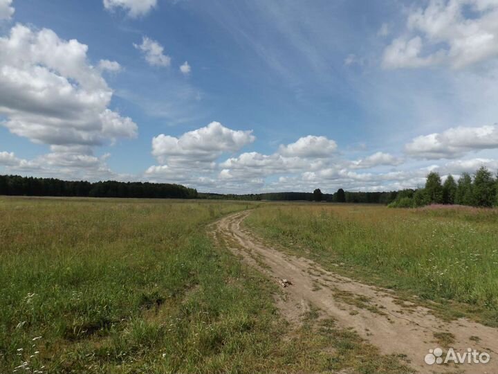 Фотоаппарат fujifilm finepix 4900