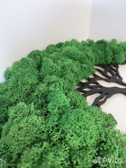 Дерево жизни со стабилизированным мхом