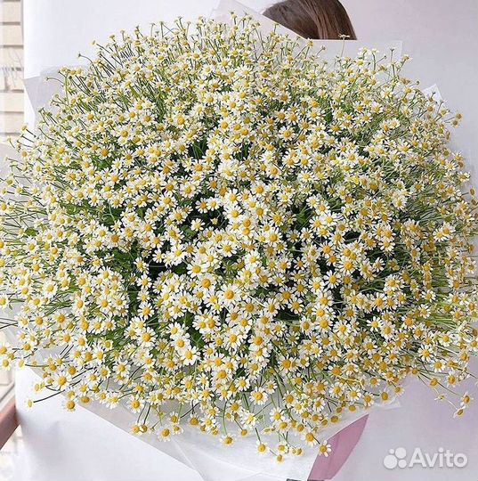 Ромашки букет