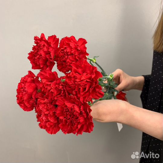 Гвоздика красная, импорт