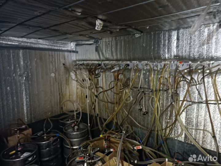 Продам готовый бизнес магазин разливного пива