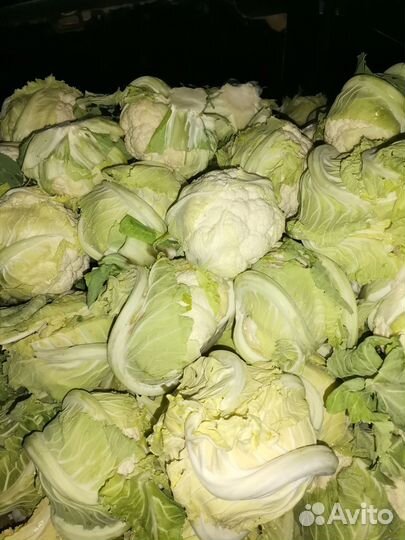 Цветная капуста, брокколи