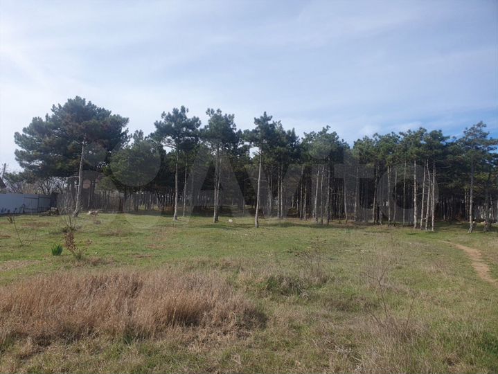 Участок 5 сот. (СНТ, ДНП)