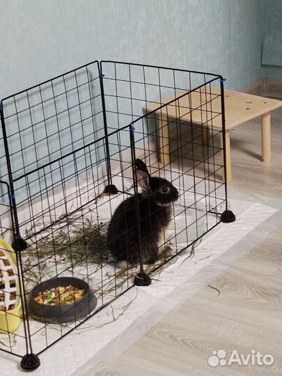 Вольер для животных