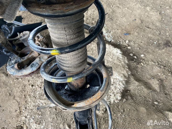 Стойка амортизатора Toyota Avensis T250