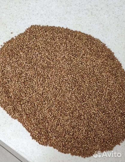 Крупа гречневая оптом