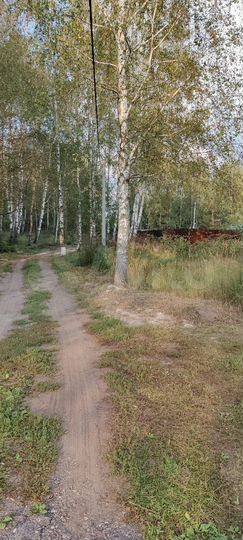 Участок 6 сот. (СНТ, ДНП)