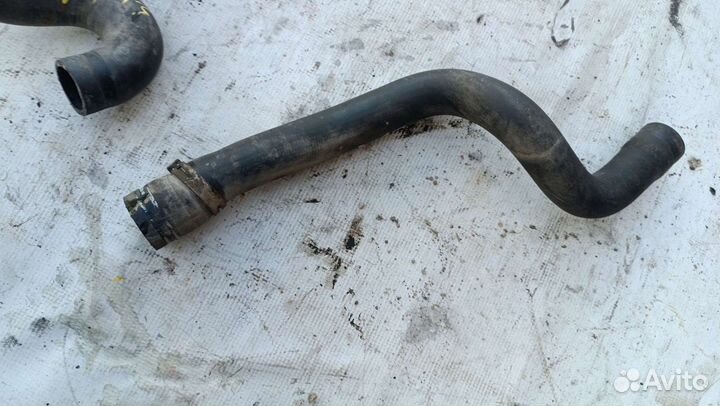 Патрубок термостата y16xe Vectra b рестайлинг