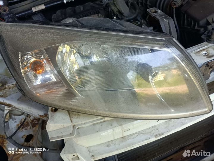 Фара гранта