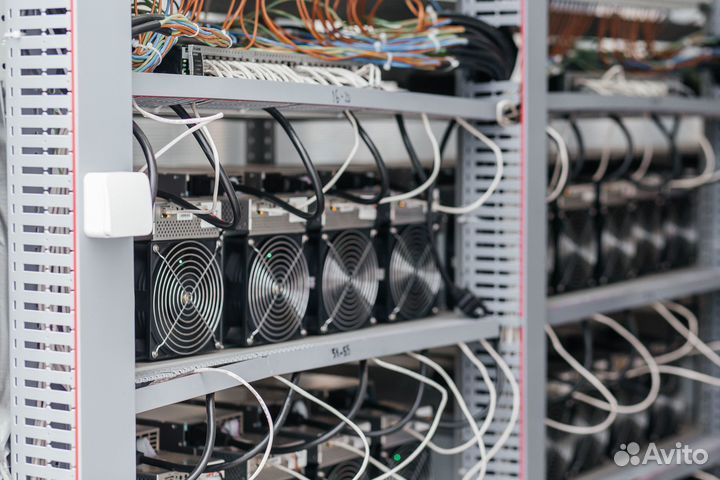 Майнинг отель хостинг дата-центр asic ферма