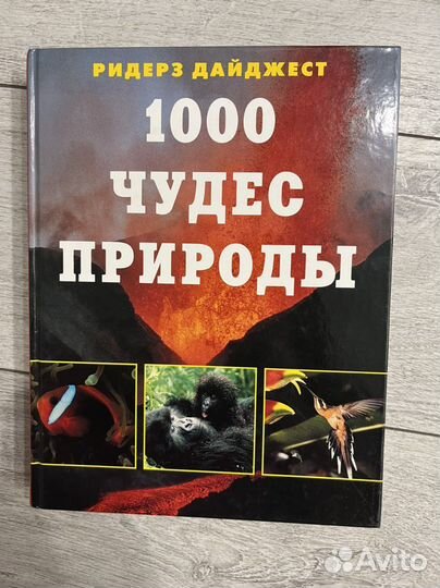 Энциклопедия