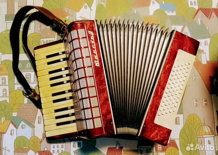 Аккордеон юность 2 с ремешками