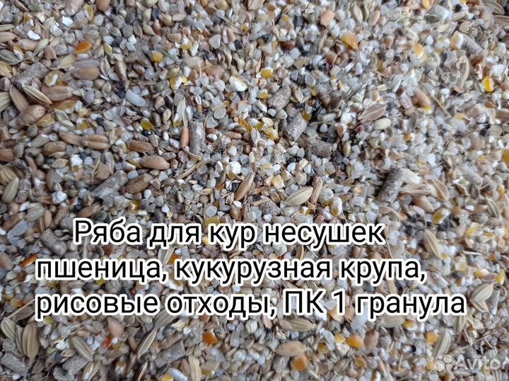 Зерно, зерно смеси, кормовые крупы, комбикорма