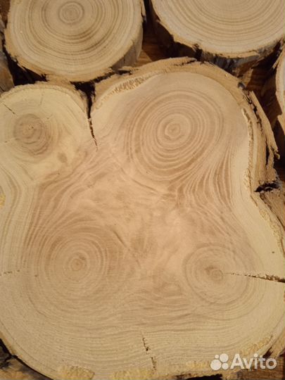 Пано из дуба