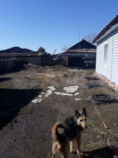 Дом 60 м² на участке 36 сот.