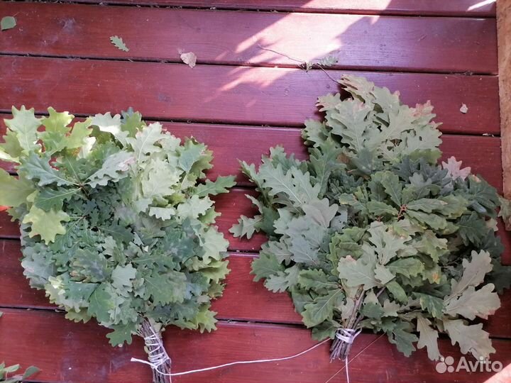 Веники дубовые