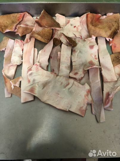 Можно ли собакам свиную шкуру