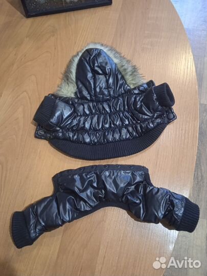 Курточка для той-терьера