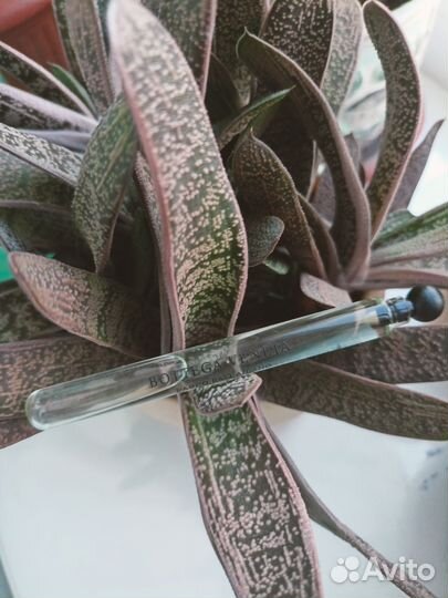 Миниатюра Bottega veneta Parco Paladiano I