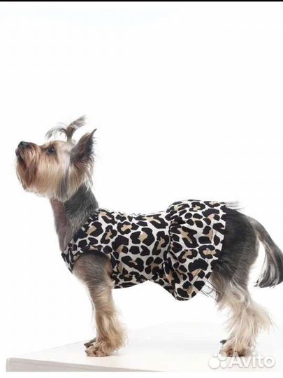 Платье для собак