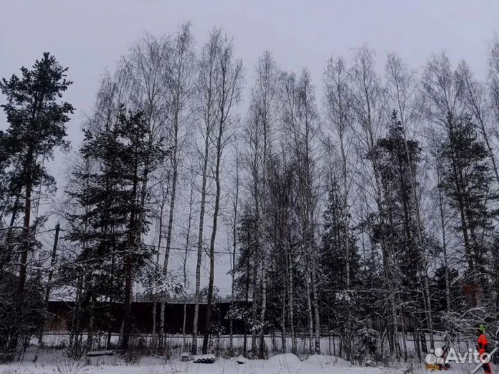 Расчистка участка Спил деревьев Удалeние дepевьeв