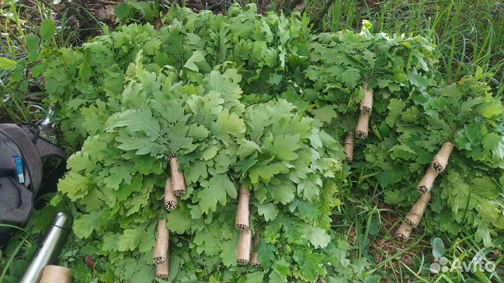 Банные веники