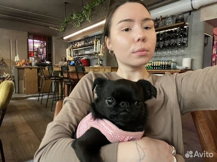 Выгульщик,выгул собак ; догситтер, кэтситтер