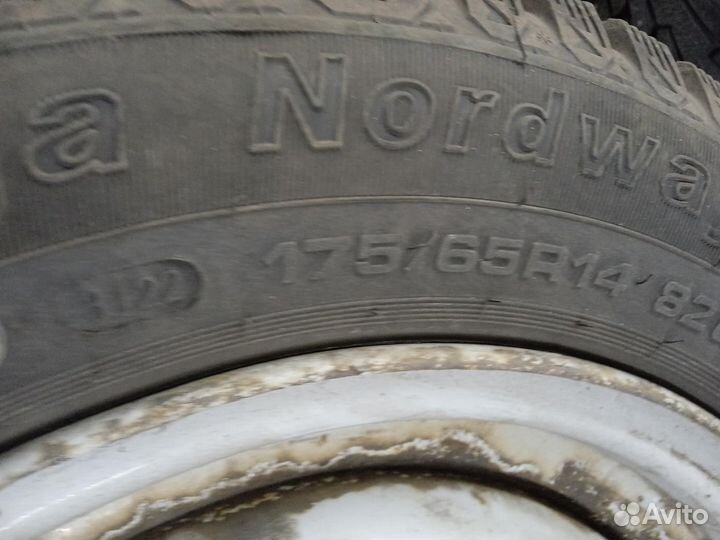 175/65 R14 Satoya Samurai 3 Зима Штампованные R14