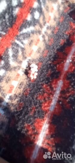 Таблетка из бисера