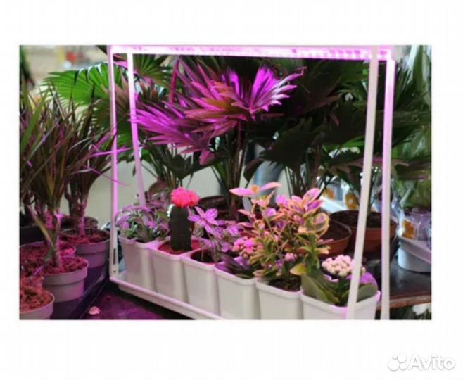 Подставка для растений