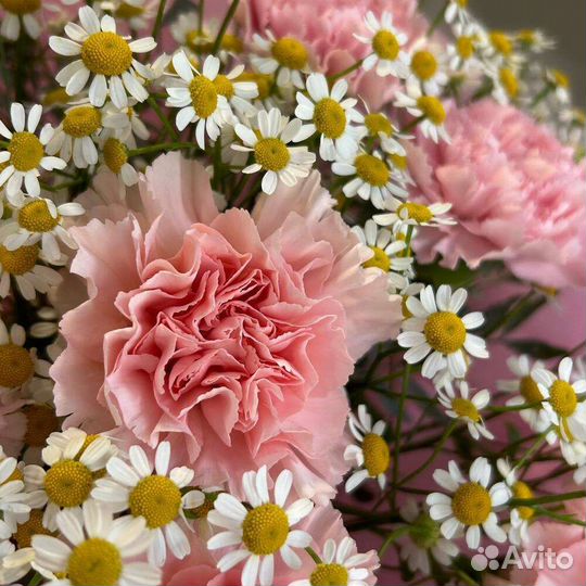 Букет из диантуса и ромашки