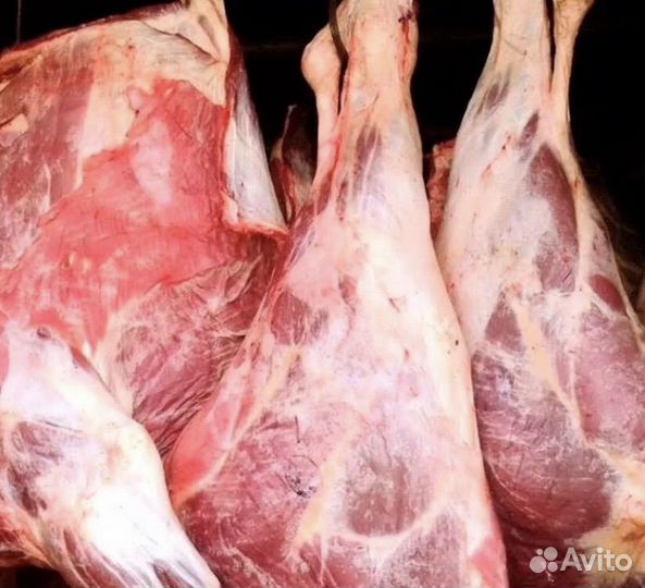 Мясо говядина