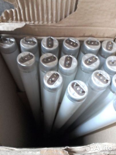 Лампа люминесцентная лб 40 Лисма