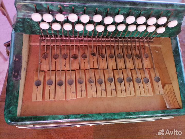 Гармонь чайка