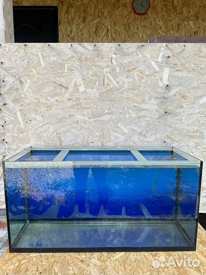 Аквариум