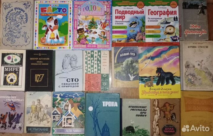 Детские книги-4+