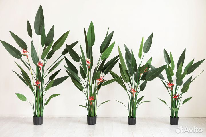 Искусственное дерево Стрелиция Николая с цветами