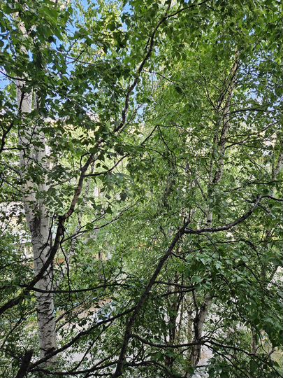 2-к. квартира, 49,5 м², 4/5 эт.