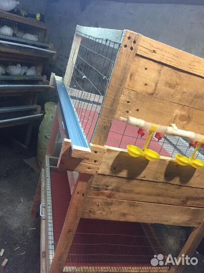 Клетки для бройлеров