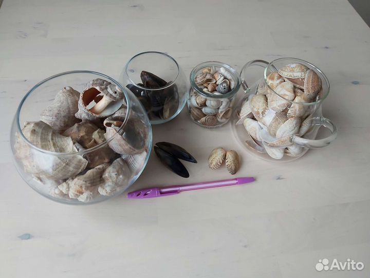 Ракушки для поделок или аквариума