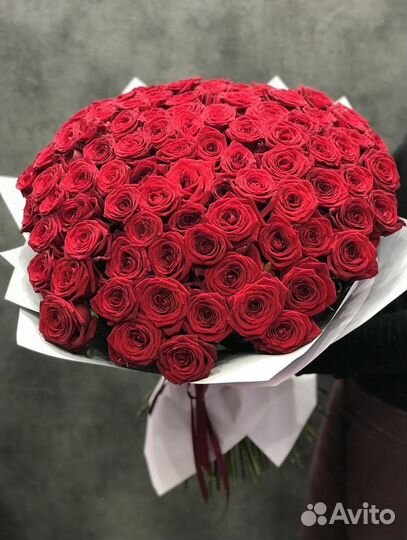 101 красная роза