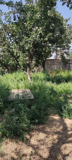 Участок 6 сот. (ИЖС)