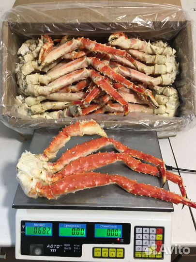 Камчатские крабы