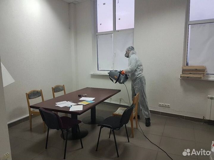 Уничтожение тараканов клопов. Дезинсекция